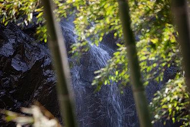 《世上英雄》正式定档6月14日发售 原价29元