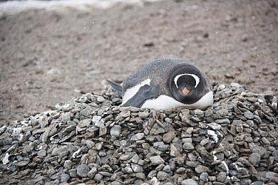 《猎天使魔女3》移动召唤攻击介绍预告 10月28日正式发售